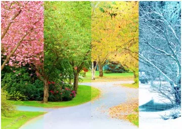 冬去春归人间四季呈现出不同的风景弥漫着不一样的气息见过嫩绿的春日
