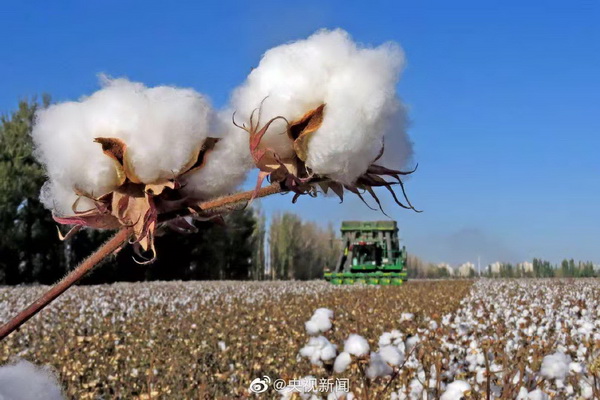一周红木天下事：HM抵制新疆棉花的背后，国货品牌已经崛起！